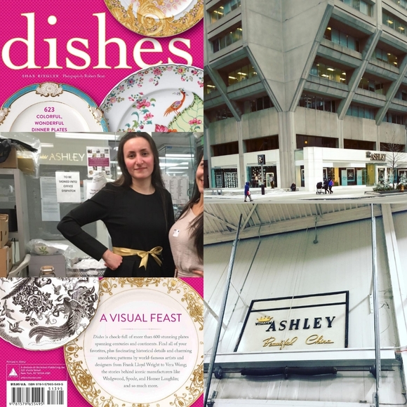 𓆸 Latest Statistics 𓆸 - Picture 13 of 16